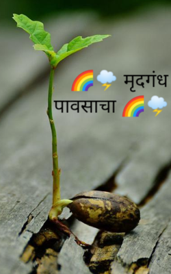 मृदगंध पावसाचा