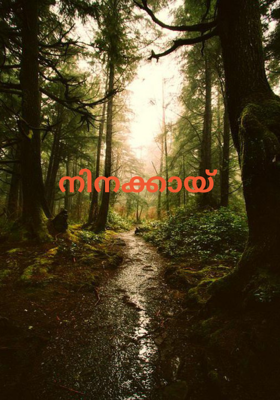 നിനക്കായ്‌
