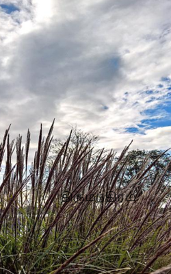 திருமந்திரம்