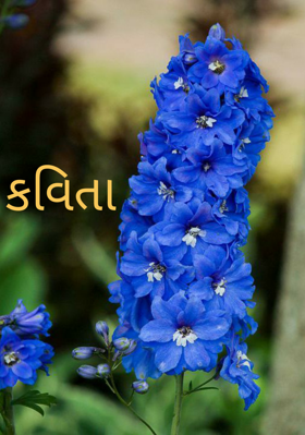 કલમ મારી