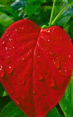 रामायम ५५ अयोध्या को प्रस्थान