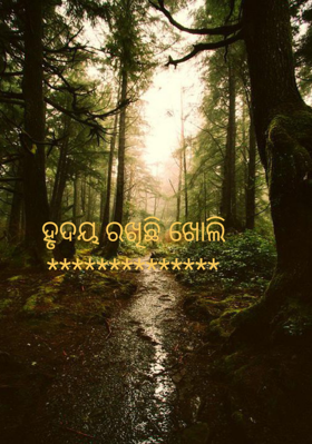 ହୃଦୟ ରଖିଛି ଖୋଲି