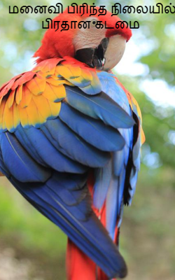 மனைவி பிரிந்த நிலையில் பிரதான கடமை