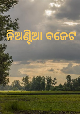 ନିଅଣ୍ଟିଆ ବଜେଟ