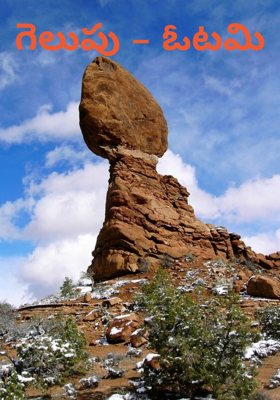 గెలుపు - ఓటమి