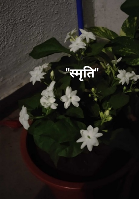 स्मृति