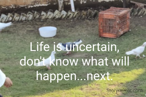 Life is uncertain, don't know what will happen...next.