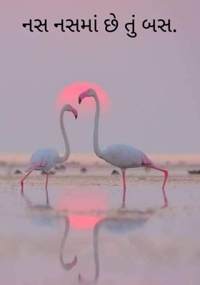 નસ નસમાં છે તું બસ