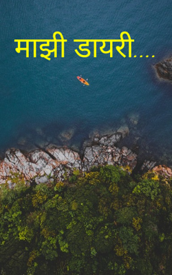 माझी डायरी....