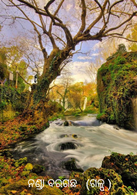 ନଣ୍ଡା ବରଗଛ