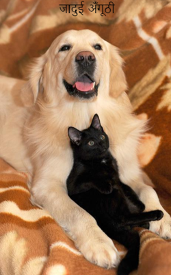 जादुई अँगूठी