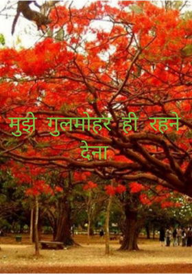 मुझे गुलमोहर ही रहने देना..!