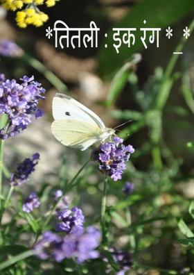 तितली : इक रंग