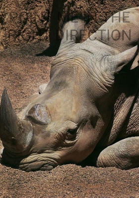 Point Me In The Right Direction