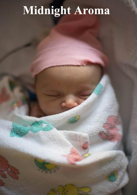 Midnight Aroma