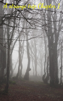 A Strange Trip Chapter 1