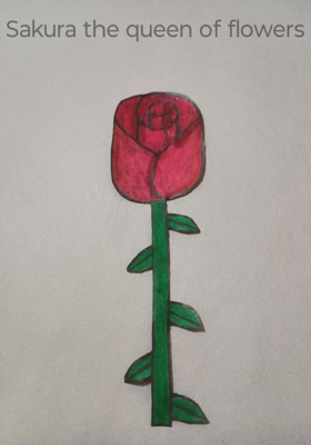 Sakura the queen of flowers