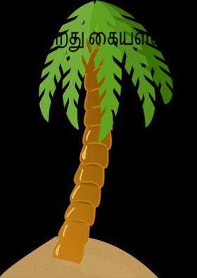 கற்றது கையளவு