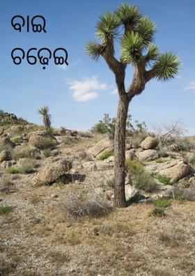 ବାଇ ଚଢ଼େଇ