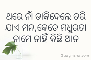 ଥରେ ନାଁ ଡାକିଦେଲେ ତରି ଯାଏ ମନ,କେଡେ ମଧୁରତା ନାମେ ନାହିଁ କିଛି ଆନ