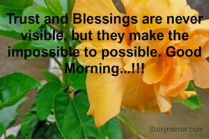 Trust and Blessings are never visible, but they make the impossible to possible. Good Morning...!!!