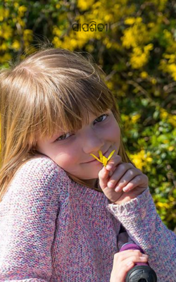 ସାପ ଶିଡି