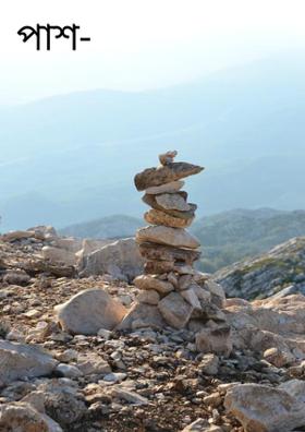 পাশ- ফেল