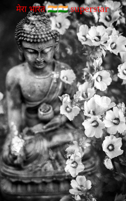 मेरा भारत