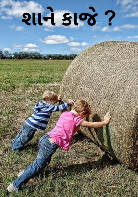 શાને કાજે ?