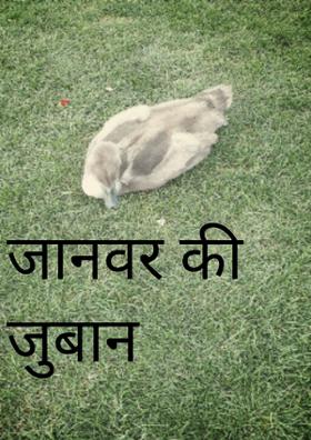 जानवर की जुबान