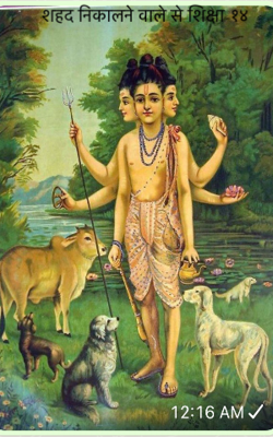 शहद निकालने वाले से शिक्षा-१४