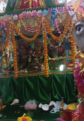 କାଳିଆ ଯାଉଛି ମାଉସୀ ଘର