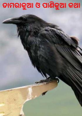 ଡାମରକୁଆ ଓ ପାଣିକୁଆ କଥା