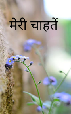 मेरी चाहतें