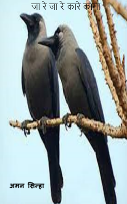 जा रे जा रे कारे कागा