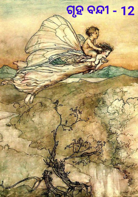 ଗୃହ ବନ୍ଦୀ - 12