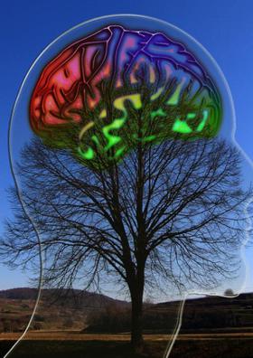 மறைக்கப்பட்ட வேண்டிய உண்மைகள்