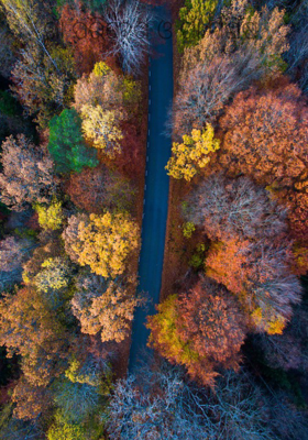 ଗାଁ ପରିବେଶ ଓ ଗାଁ ମଣିଷ 