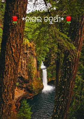 ନାଗଲ ଚତୁର୍ଥୀ