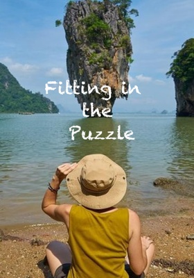 Fitting in the Puzzle