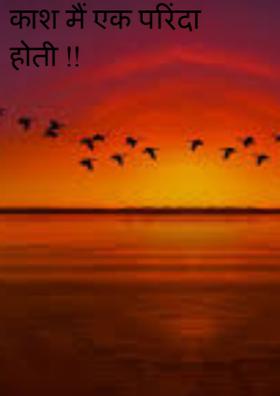 काश मैं एक परिंदा होती !!