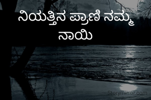 ನಿಯತ್ತಿನ ಪ್ರಾಣಿ ನಮ್ಮ ನಾಯಿ