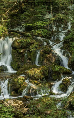 बरसात का मौसम