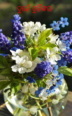 ଦୁହେଁ ଦୁହିଁଙ୍କର