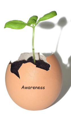 Awareness