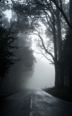The Eerie Encounter