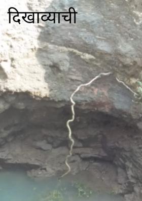 दिखाव्याची दुनिया