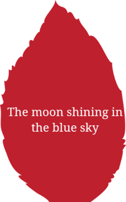 The moon shining in the blue sky