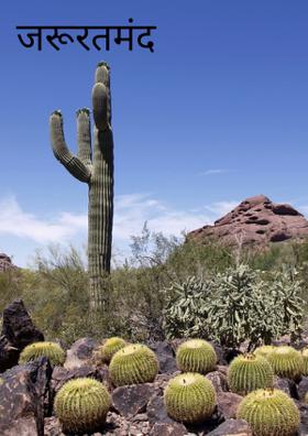 जरूरतमंद