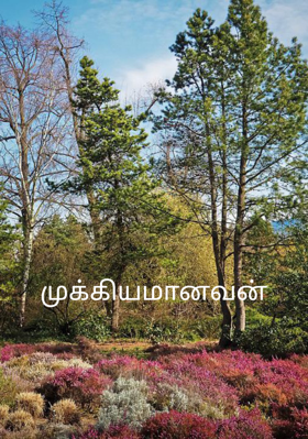 முக்கியமானவன்